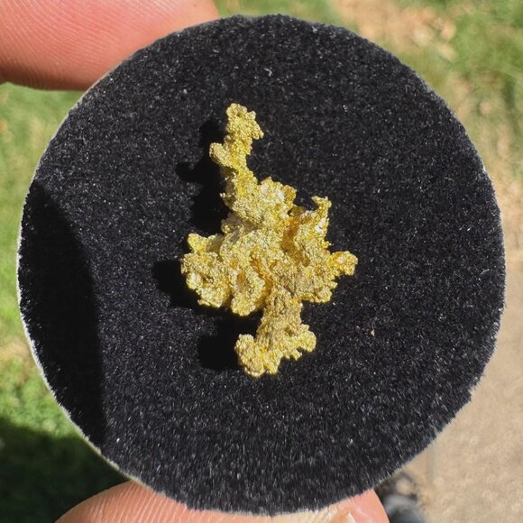 Gold Quartz Crystal Nugget Specimen - Grass Valley, California - 2.9 grams - Picture 2 of 7